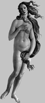 Botticelli, Venus